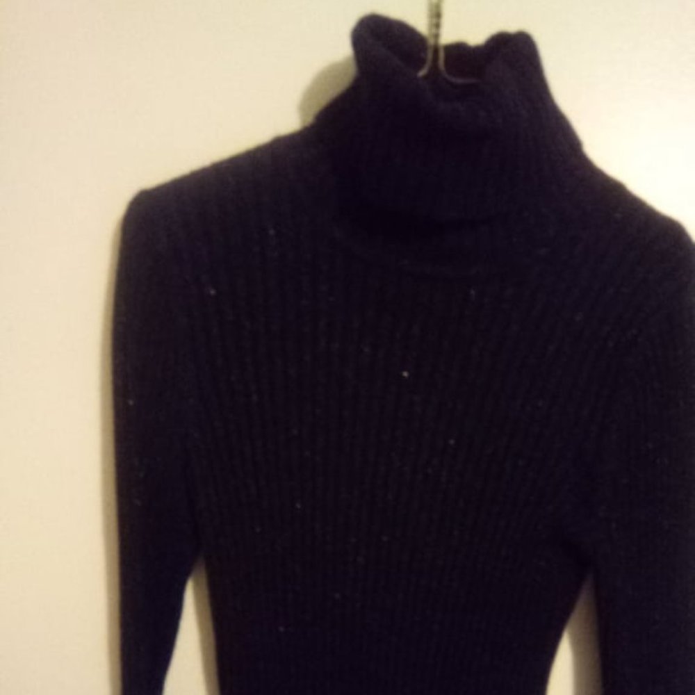 Express metallic turtleneck